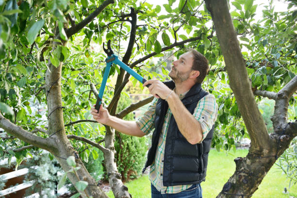 Best Lawn Watering Services  in Central High, OK